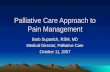 Palliative Care Approach to Pain Management Barb Supanich, RSM, MD Medical Director, Palliative Care October 11, 2007.