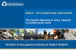 Silica – it’s more than just dust! The health hazards of silica (quartz) in construction work Division of Occupational Safety & Health (DOSH)