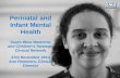 Www.england.nhs.uk Perinatal and Infant Mental Health South West Maternity and Children’s Strategic Clinical Network 27th November 2014 Ann Remmers, Clinical.