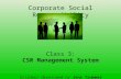 Corporate Social Responsibility Class 3: CSR Management System Syllabus developed by Jens Trummer.