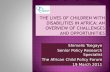 Shimelis Tsegaye Senior Policy Research Specialist The African Child Policy Forum 19 March 2011.