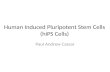 Human Induced Pluripotent Stem Cells (hiPS Cells) Paul Andrew Cassar.