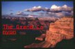 The Grand Canyon Where in the World is the Grand Canyon? The Grand Canyon is located in the continent of North America. The 7 main continents of the.