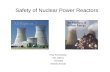 Safety of Nuclear Power Reactors Final Presentation ESL 598.04 Fall 2006 Anatoliy Borodin.