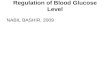 Regulation of Blood Glucose Level NABIL BASHIR, 2009.