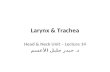Larynx & Trachea Head & Neck Unit – Lecture 14 د. حيدر جليل الأعسم.