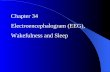 Chapter 34 Electroencephalogram (EEG), Wakefulness and Sleep.