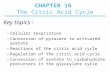CHAPTER 16 The Citric Acid Cycle –Cellular respiration –Conversion of pyruvate to activated acetate –Reactions of the citric acid cycle –Regulation of.