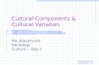 Cultural Components & Cultural Variation Ms. Blackhurst Sociology Culture -- Day 1.