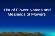 List of Flower Names and Meanings of Flowers. A Acacia: Hidden love, Beauty in withdrawal Ambrosia: Love requited Amaryllis: Pridefulness Aster: Symbolizing.