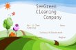 SeeGreen Cleaning Company Kai Li Chen Anna Cummings Zachary Hilderbrandt Shohei Koyama Meghan O'Brien.