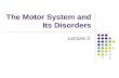 The Motor System and Its Disorders Lecture 3. Lecture Outline: Overview and major pathways Cerebellum Cerebellar atrophy videos Basal Ganglia Hyperkinetic.