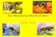 The Wonderful World of Bees Jennifer Martin. The Types of Bees 20,000 different species of bees and 11 ‘families.’ Bees make up a superfamily known as.