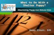 Company LOGO Maximizing Puppy Live Release Rate Wendy Blount, DVM What to Do With a Shelter Puppy?