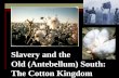 Slavery and the Old (Antebellum) South: The Cotton Kingdom.