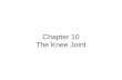 Chapter 10 The Knee Joint. What Happened (Knee)?