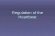 Regulation of the Heartbeat. Outline  Control of the heart beat  Intrinsic control of contractility  Extrinsic control of contractility.