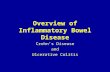 Overview of Inflammatory Bowel Disease Crohn’s Disease and Ulcerative Colitis.