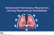 Advanced Pulmonary Mechanics during Mechanical Ventilation.
