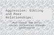 AggressionAggression: Sibling and Peer Relationships: Pro-social and anti-social influences through adolescence.