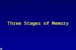 Three Stages of Memory. Stage Model of Memory Long-term memory Working or Short-term Memory Sensory Input Sensory Memory Attention Encoding Retrieval.