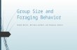 Group Size and Foraging Behavior Brandi Norris, Brittani Sanford, and Charnele Johnson.