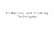 Fisheries and Fishing Techniques. What are fisheries? A fishing ground for commercial fishing.