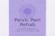 Pelvic Pain Rehab By Anelyn Delmonte-Purifoy, PT Civilian Supervisor of Physical Therapy Fort Belvoir Community Hospital in Virginia.