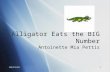 8/13/20151 Alligator Eats the BIG Number Antoinette Mia Pettis.