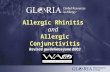 An educational program of: Allergic Rhinitis and Allergic Conjunctivitis Revised guidelines June 2003.