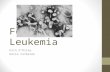 Feline Leukemia Erin O’Riley Katie Colbrook. Feline Leukemia Usually abbreviated as FeLV First discovered in domestic cats in Scotland 1964 Cross-species.