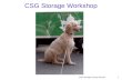 CSG Storage Survey Results1 CSG Storage Workshop.