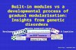 Built-in modules vs a developmental process of gradual modularisation: Insights from genetic disorders Annette Karmiloff-Smith Developmental Neurocognition.