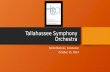 Tallahassee Symphony Orchestra Darko Butorac, Conductor October 15, 2014.