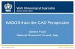 WMO WIGOS from the CAS Perspective Sandro Fuzzi National Research Council, Italy WMO: Research Dept.