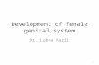 Development of female genital system Dr. Lubna Nazli 1.
