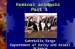 Ruminal acidosis Part 1 Gabriella Varga Department of Dairy and Animal Science.