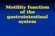 Motility function of the gastrointestinal system 1.