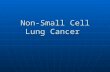 Non-Small Cell Lung Cancer. Signs and symptoms persistent cough persistent cough trouble breathing trouble breathing chest discomfort chest discomfort.