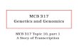 MCB 317 Genetics and Genomics MCB 317 Topic 10, part 1 A Story of Transcription.