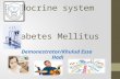 Endocrine system Diabetes Mellitus Demonestrator/Khulud Essa Hadi.