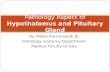 By. Meike Rachmawati,dr Pathology anatomy Department Medical Faculty-Unisba Pathology Aspect of Hypothalamus and Pituitary Gland.