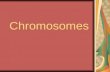 Chromosomes. Inheriting Traits We inherit many of our physical characteristics or traits from our parents. This is known as heredity – the passing of.