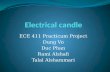 ECE 411 Practicum Project Dung Vo Duc Phan Rami Alshafi Talal Alshammari.