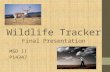 Wildlife Tracker MSD II P14347 Final Presentation.