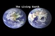 The Living Earth. Industrial chemicals released into the atmosphere have damaged the ozone layer in the stratosphere.