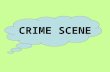 CRIME SCENE. Physical Evidence and the Crime Scene Crime Labs “run” on physical evidence P.E. = ANY/ALL objects that: –Establishes that a crime has occurred.
