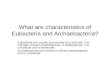 What are characteristics of Eubacteria and Archaebacteria? Eubacteria are usually surrounded by a cell wall. The cell wall contains peptidoglycan, a carbohydrate.
