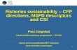 1 Fisheries sustainability – CFP directions, MSFD descriptors and CSI Poul Degnbol Head of ICES advisory programme / ETC/W Marine and Coastal EEA/EIONET.