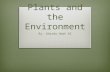 Plants and the Environment By: Ghaida Odah 8C. Adaptations of Plants to the Environment Different animals and plants must be adapted to their different.